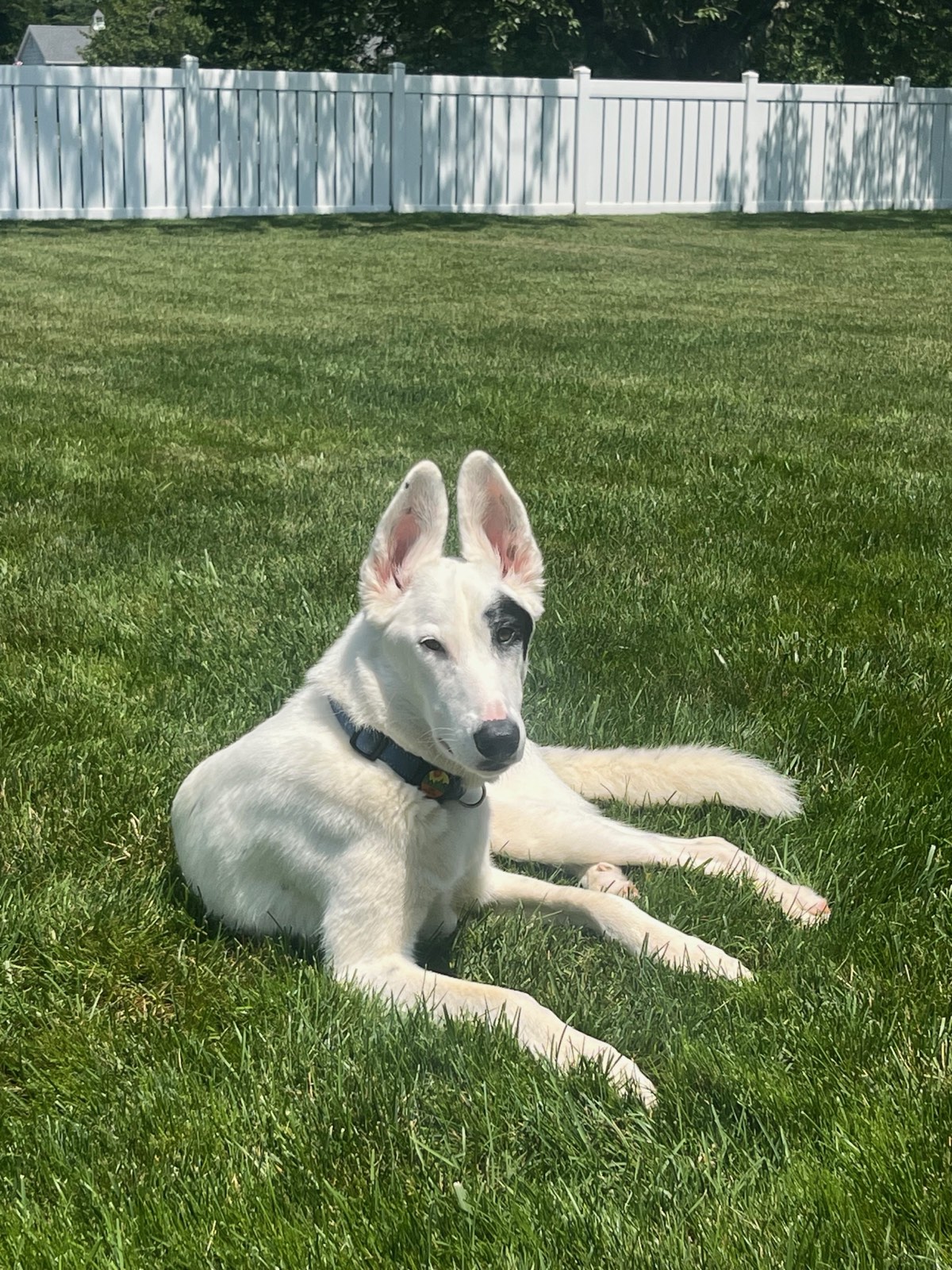 Photo of Luke (photo 3)