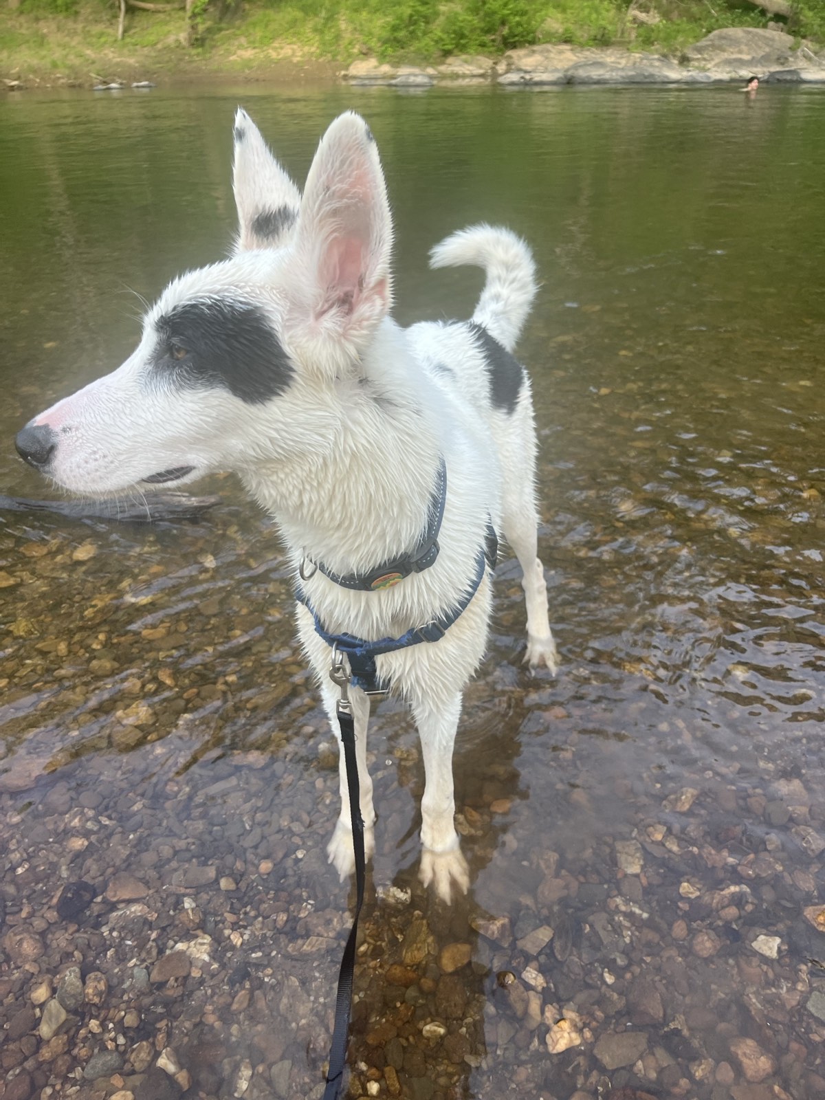 Photo of Luke (photo 2)